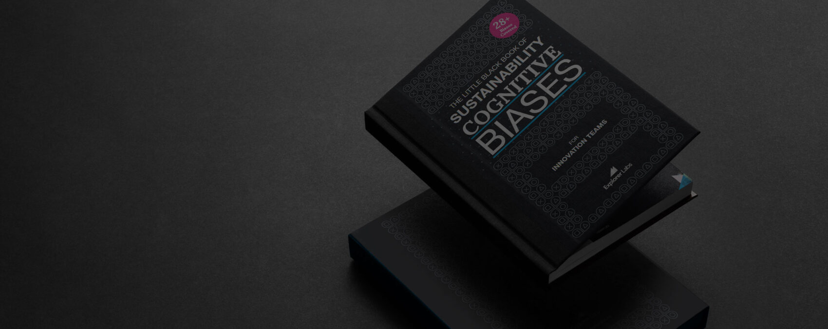 The Little Black Book of 28+ Sustainability Cognitive Biases (FREE Book)