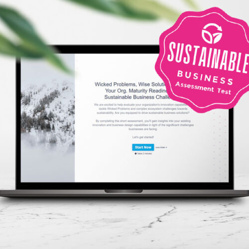 Wicked Problems, Wise Solutions, Org Maturity and Readiness Assessment for Sustainable Business and Wicked Problems