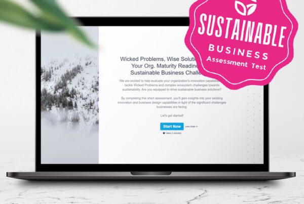 Wicked Problems, Wise Solutions, Org Maturity and Readiness Assessment for Sustainable Business and Wicked Problems